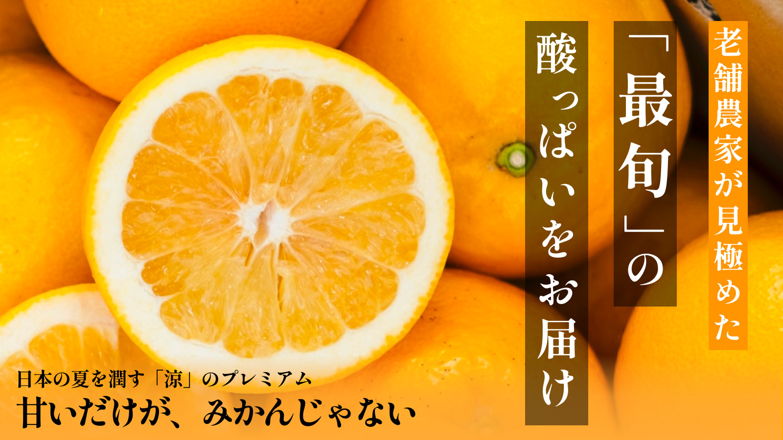 SHINGUCHI FARM｜新口農園｜愛媛みかん