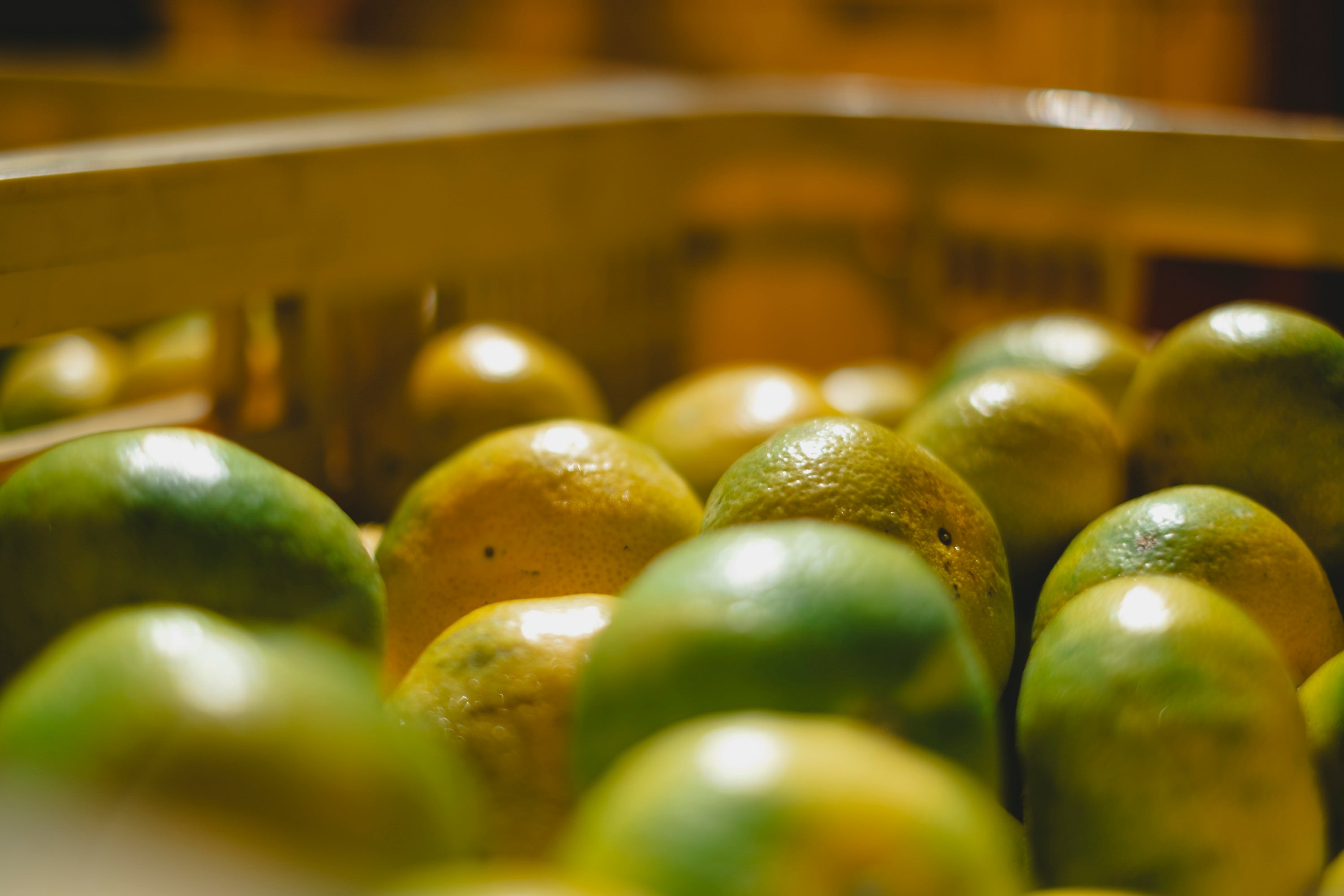 Products｜新口農園 – SHINGUCHI FARM