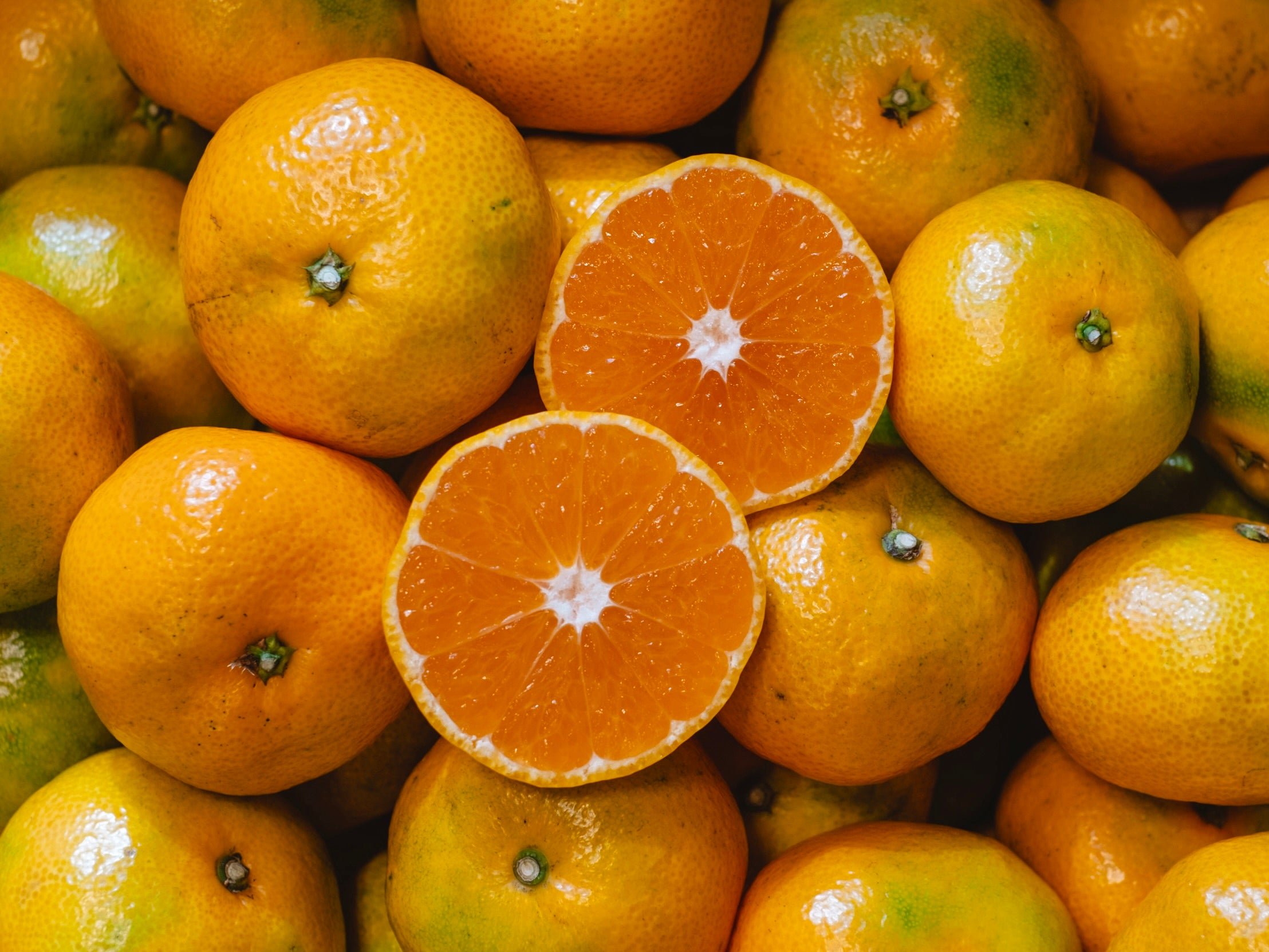 厳選シリーズ　極早生みかん3kg家庭用　陽当たりの良い園地 送料無料】極早生みかん（箱込み3㎏） | 果物/温州みかん 産直