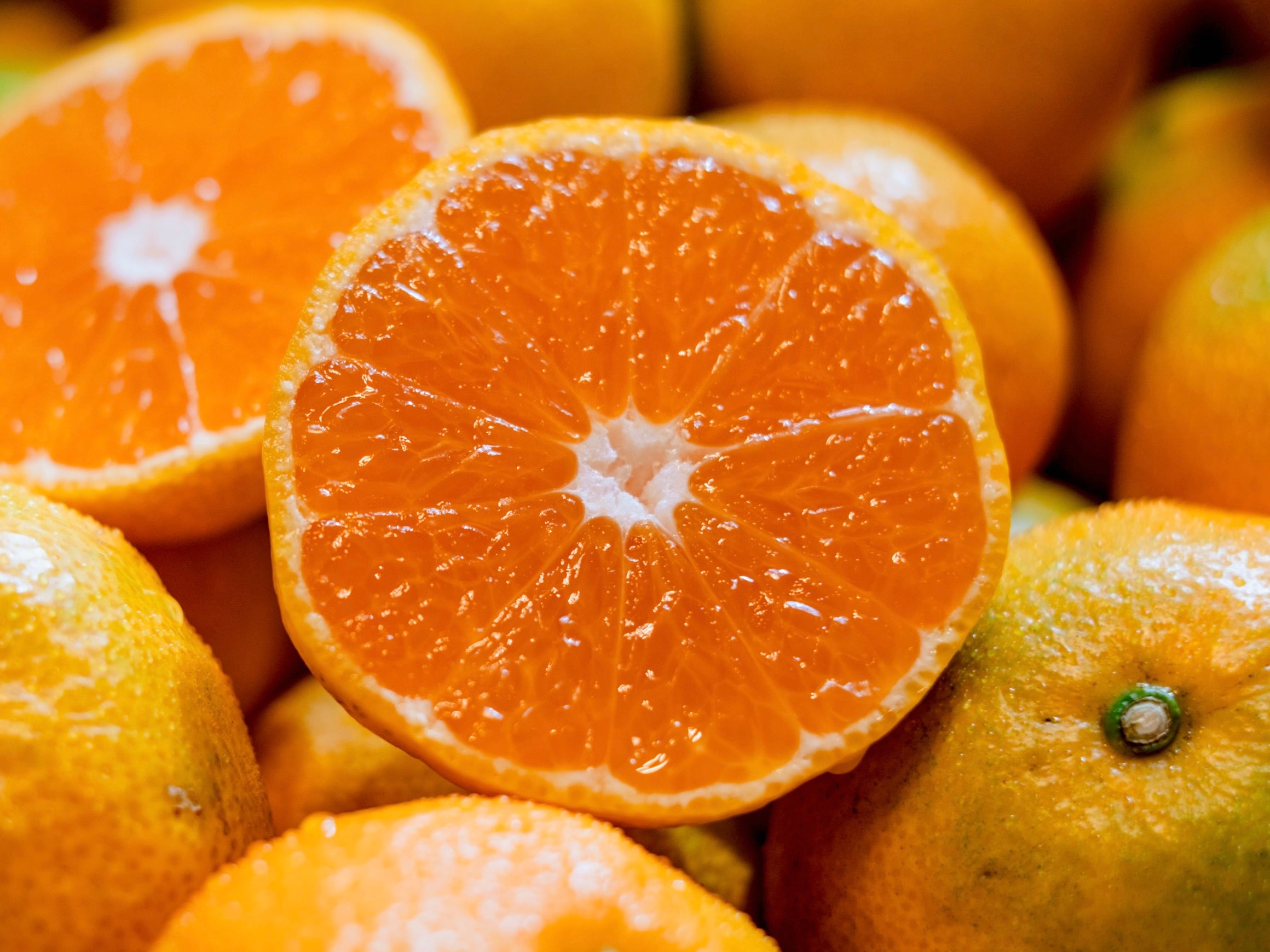 みかん 極早生みかん｜新口農園｜オンラインショップ – SHINGUCHI FARM