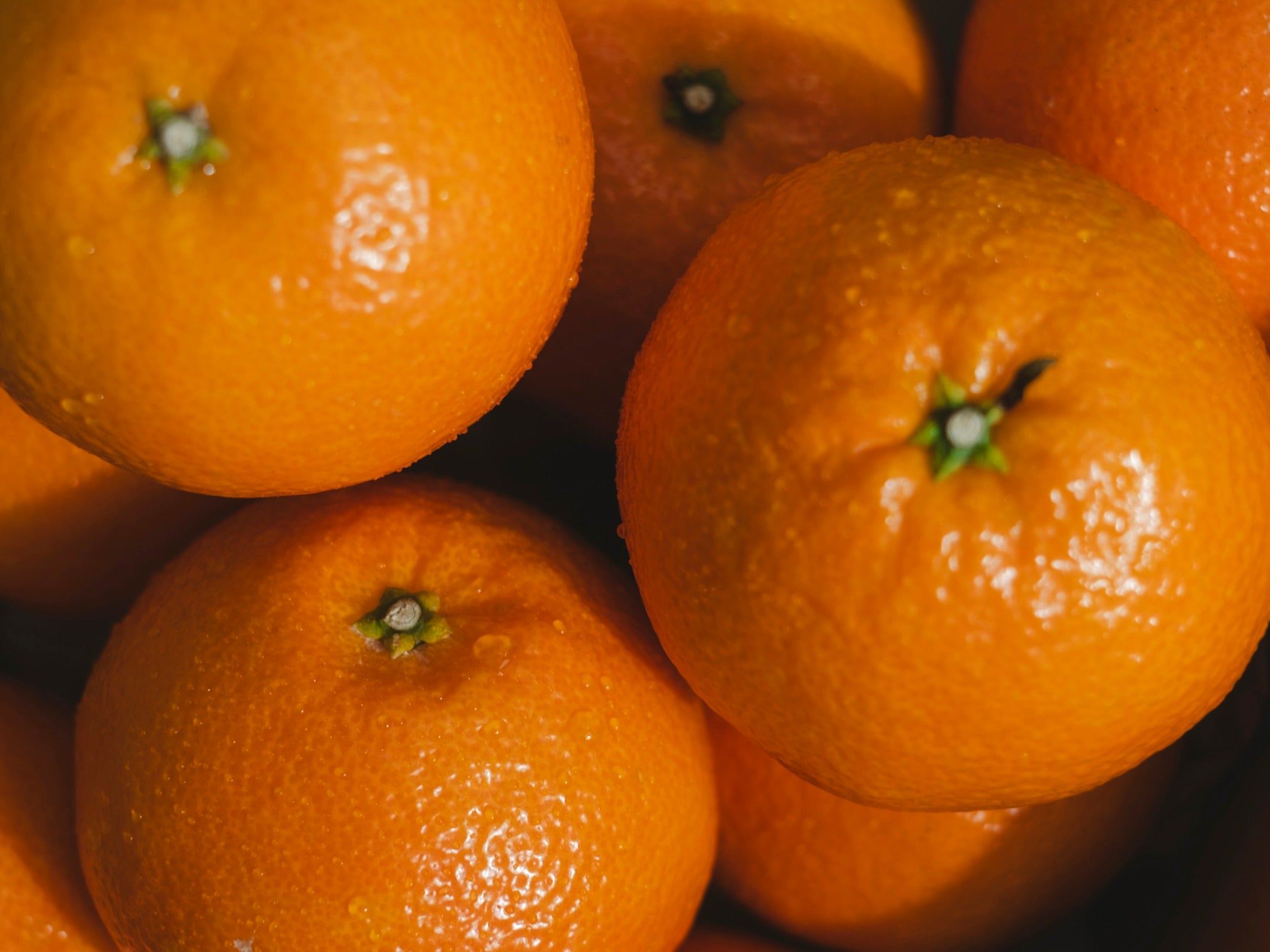 Products｜新口農園 – SHINGUCHI FARM