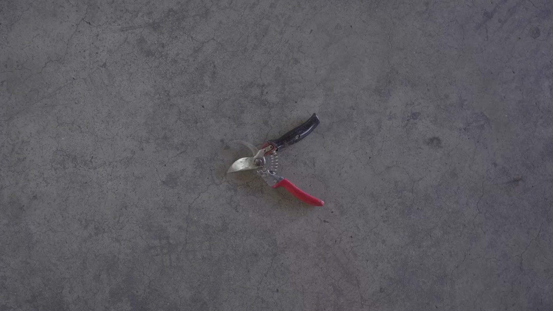 動画を読み込む: 